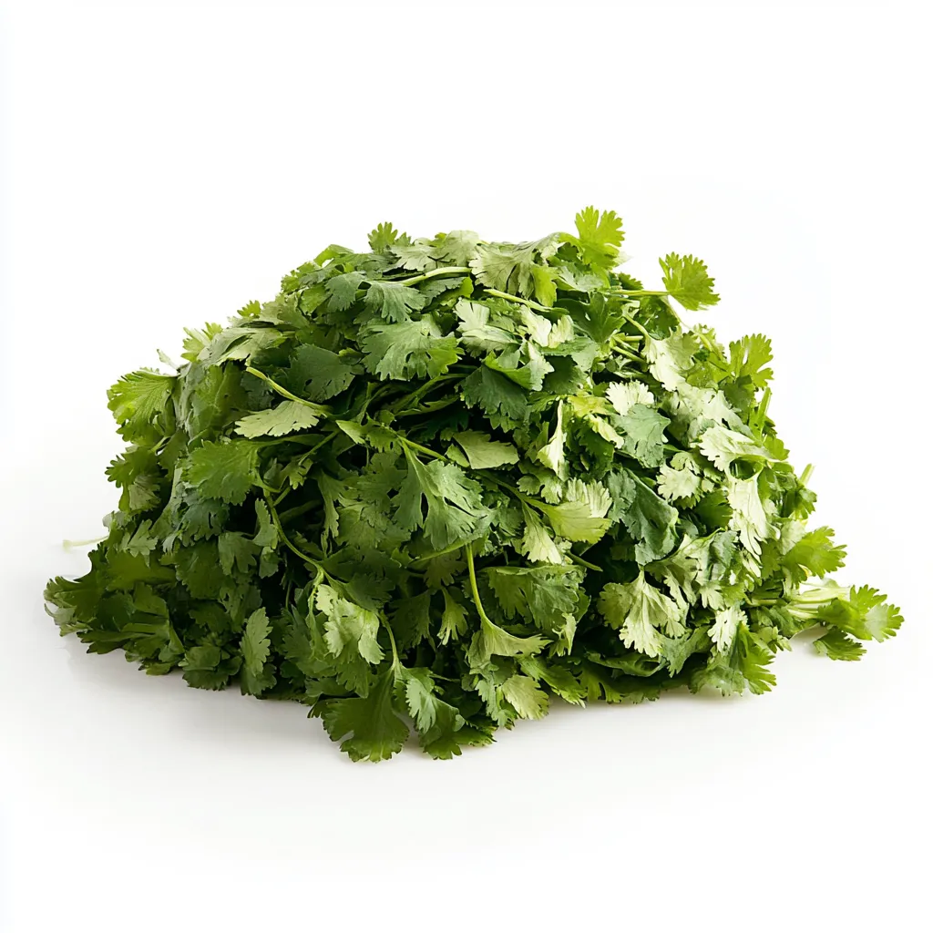Fresh Cilantro}